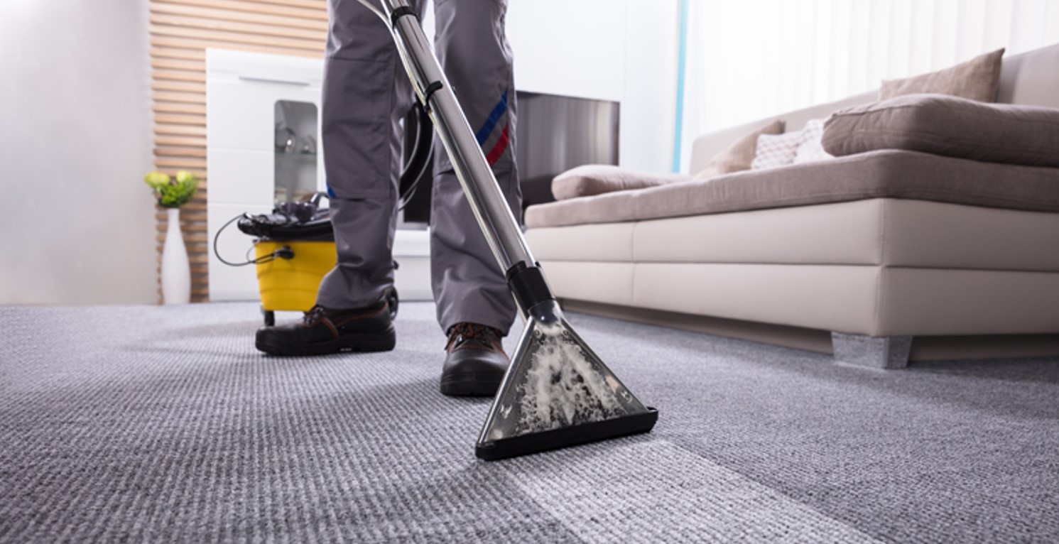 Professional deep-cleaning a carpet