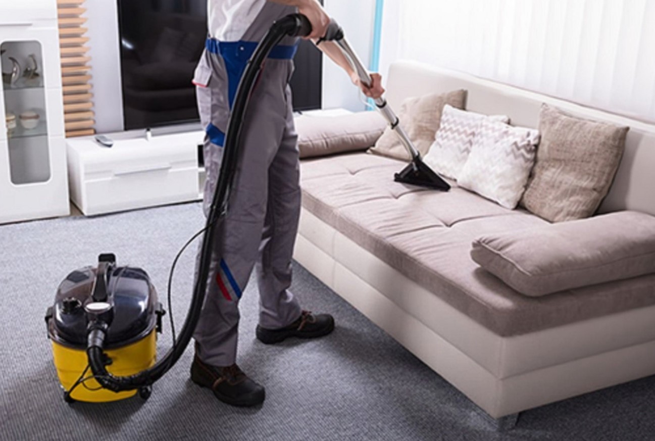 Professional deep-cleaning a sofa